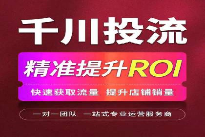 案例分享：SEM代运营如何实现ROI最大化